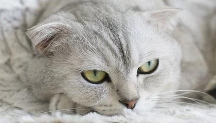 星空电竞官方网站-开云官方网站：开启云端智慧生活的新入口