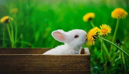 星空电竞官方网站-星空.综合体育(中国)官方网站——开启你的运动新纪元